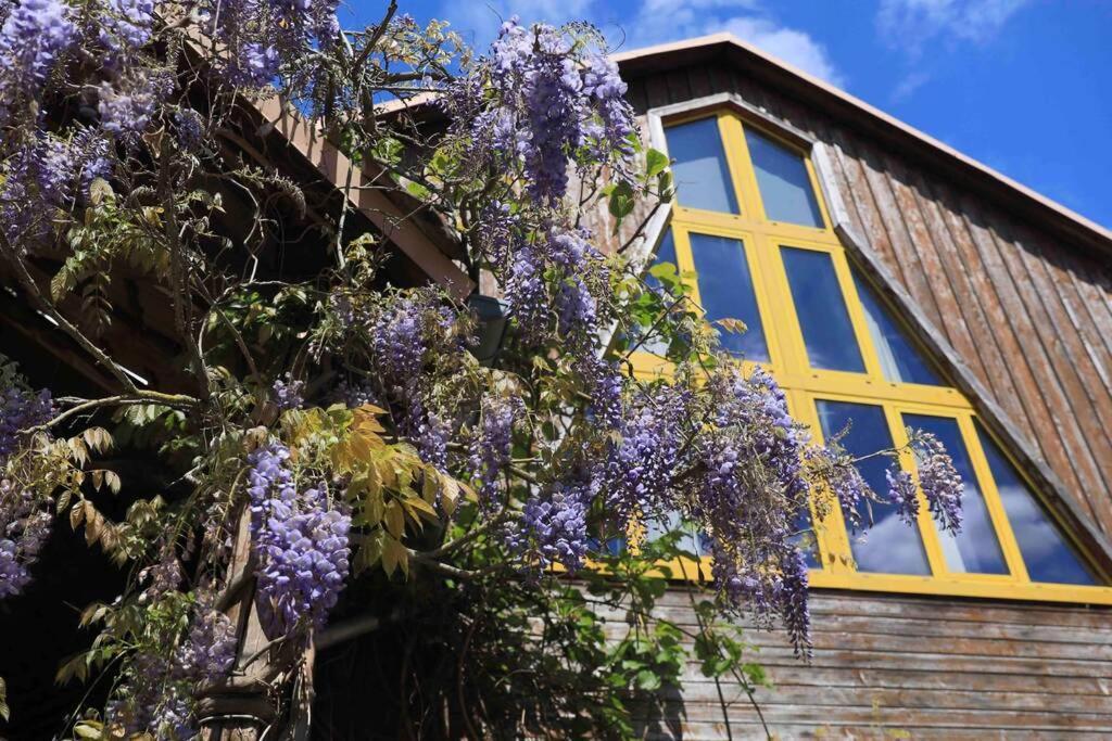 Apartamento La Grange De Jeannette Burnhaupt-le-Haut Exterior foto
